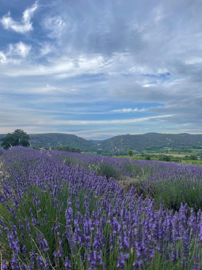 Gite Passiflore Frigoulet Luaran gambar